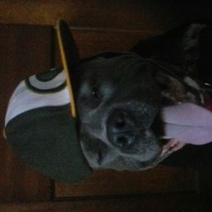 Meet your Posher, Kiera